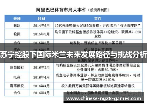 苏宁控股下国际米兰未来发展路径与挑战分析
